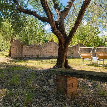 Calma Con Idromassaggio E Giardino Vicino Saturnia וילה מונטמראנו
