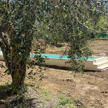 Con Piscina E Jacuzzi Vicino Saturnia וילה